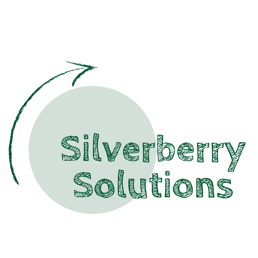 Logo Silverberry Solutions